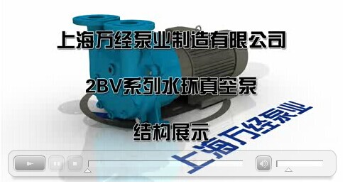 2BVҕ�l�ֽ�D